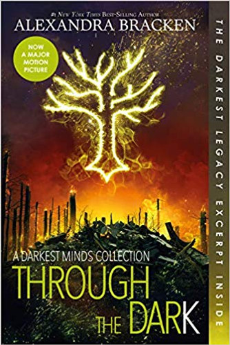 Through the Dark ( Darkest Minds Novel ) Cover Through the Dark ( Darkest Minds Novel ) Cover