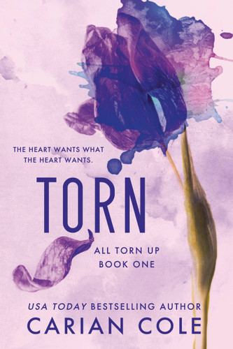 Torn (All Torn Up #1) book cover by Carian Cole