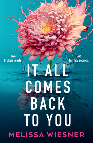 It All Comes Back to You book cover by Melissa Wiesner