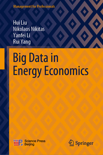 Big Data in Energy Economics (Management for Professionals) book cover by Hui Liu, Nikolaos Nikitas, Yanfei Li, Rui Yang