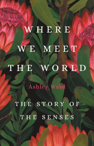 Where We Meet the World: The Story of the Senses book cover by Ashley Ward