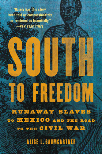 South to Freedom: Runaway Slaves to Mexico and the Road to the Civil War book cover by Alice L Baumgartner