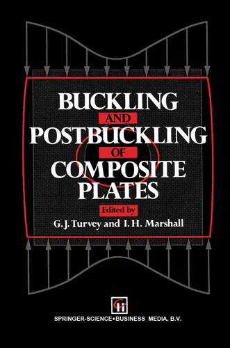 Buckling and Postbuckling of Composite Plates book cover by 