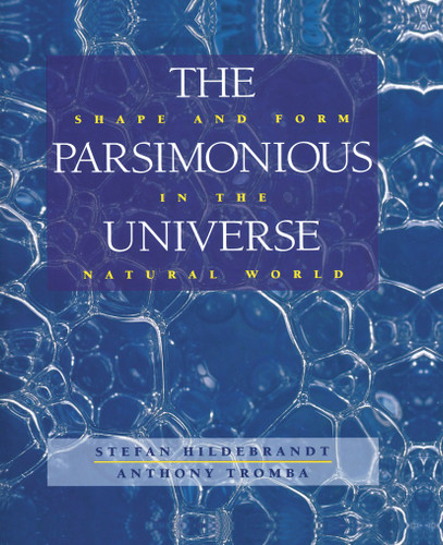 The Parsimonious Universe: Shape and Form in the Natural World book cover by Stefan Hildebrandt, Anthony Tromba