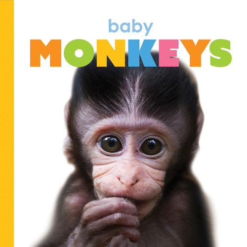Baby Monkeys (Starting Out) book cover by Kate Riggs
