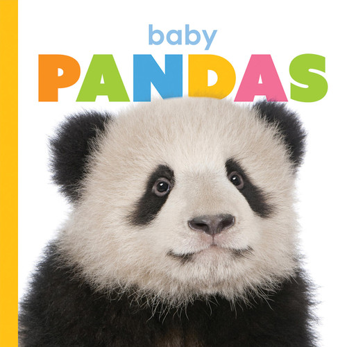 Baby Pandas (Starting Out) book cover by Kate Riggs