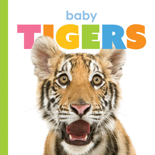 Baby Tigers (Starting Out) book cover by Kate Riggs