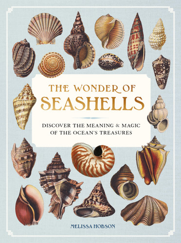 The Wonder of Seashells: Discover the Meaning & Magic of the Ocean’s Treasures (Ocean Wonders) book cover by Melissa Hobson