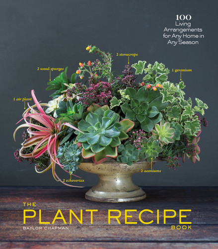 The Plant Recipe Book: 100 Living Arrangements for Any Home in Any Season (The Flower Recipe Series) book cover by Baylor Chapman