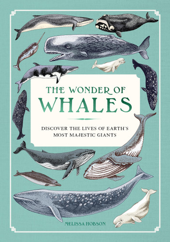 The Wonder of Whales: Discover the Lives of Earth's Most Majestic Giants book cover by Melissa Hobson
