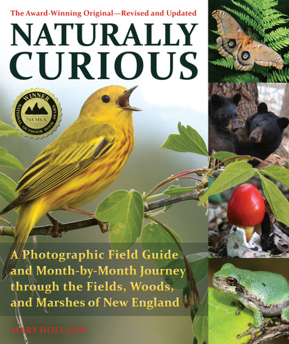 Naturally Curious book cover by Mary Holland