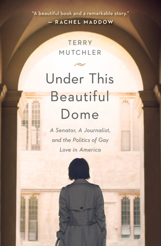 Under This Beautiful Dome: A Senator, A Journalist, and the Politics of Gay Love in America book cover by Terry Mutchler