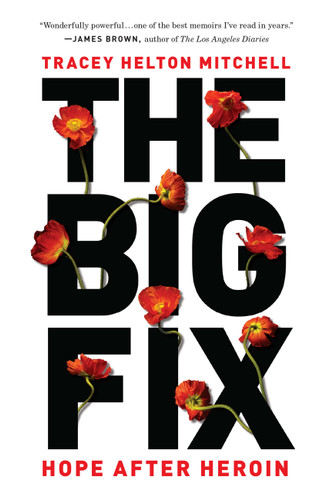 The Big Fix: Hope After Heroin book cover by Tracey Helton Mitchell