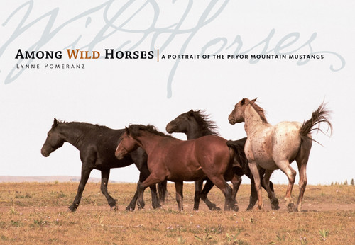 Among Wild Horses: A Portrait of the Pryor Mountain Mustangs book cover by Lynne Pomeranz