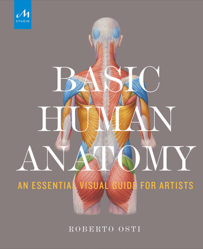 Basic Human Anatomy: An Essential Visual Guide for Artists book cover by Roberto Osti