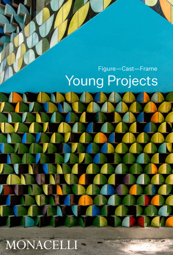 Young Projects: Figure, Cast, Frame book cover by Bryan Young