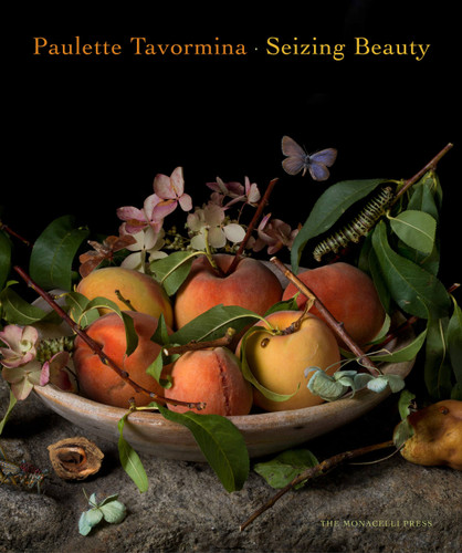 Paulette Tavormina: Seizing Beauty book cover by Mark Alice Durant, Anke Van Wagenberg-Ter Hoeven, Silvia Malaguzzi, Paulette Tavormina