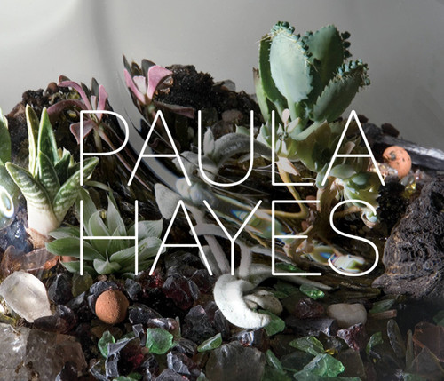 Paula Hayes book cover by Richard D. Marshall, Paula Hayes
