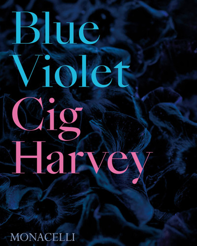 Blue Violet book cover by Cig Harvey