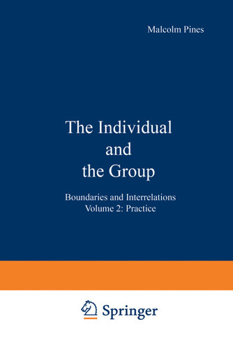 The Individual and the Group: Boundaries and Interrelations Volume 2: Practice book cover by 