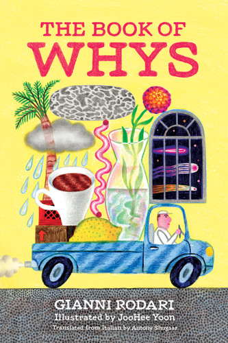 The Book of Whys book cover by Gianni Rodari