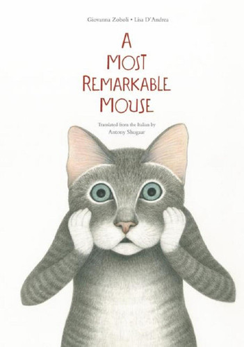 A Most Mysterious Mouse book cover by Giovanna Zoboli