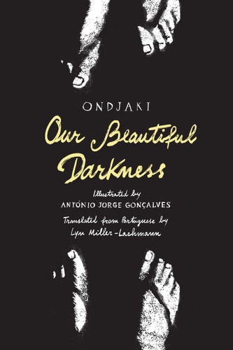 Our Beautiful Darkness: A Graphic Novel book cover by Ondjaki