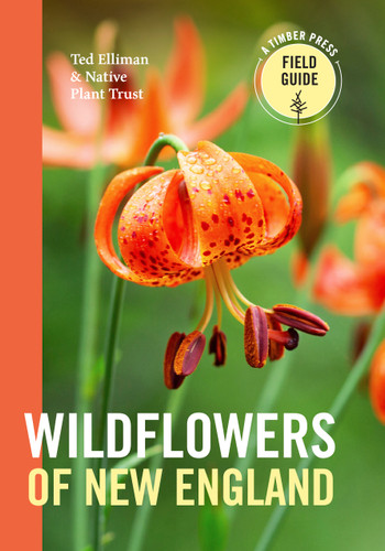 Wildflowers of New England (A Timber Press Field Guide) book cover by Ted Elliman, Native Plant Trust