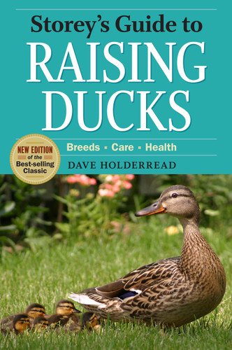 Storey's Guide to Raising Ducks, 2nd Edition: Breeds, Care, Health (Storey’s Guide to Raising) book cover by Dave Holderread