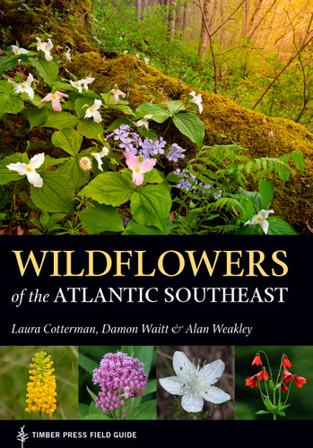 Wildflowers of the Atlantic Southeast (A Timber Press Field Guide) book cover by Damon Waitt, Laura Cotterman, Alan Weakley