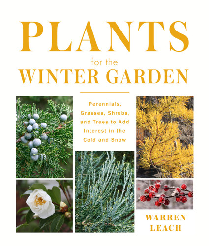 Plants for the Winter Garden: Perennials, Grasses, Shrubs, and Trees to Add Interest in the Cold and Snow book cover by Warren Leach