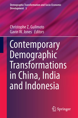 Contemporary Demographic Transformations in China, India and Indonesia (Demographic Transformation and Socio-Economic Development #5) book cover by 