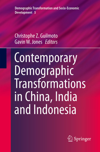 Contemporary Demographic Transformations in China, India and Indonesia (Demographic Transformation and Socio-Economic Development #5) book cover by 