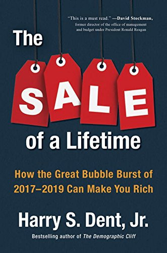 The Sale of a Lifetime: How the Great Bubble Burst of 2017-2019 Can Make You Rich Cover