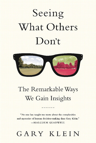 Seeing What Others Don't: The Remarkable Ways We Gain Insights book cover by Gary Klein