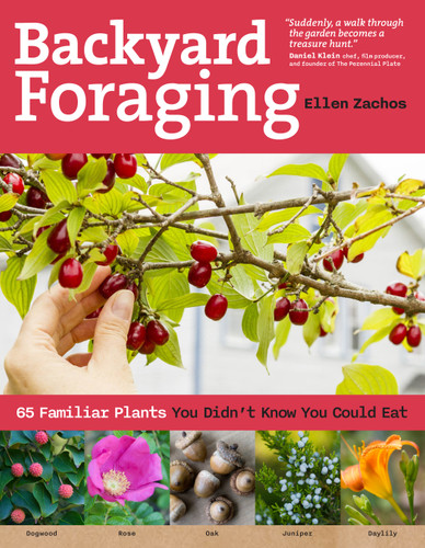 Backyard Foraging: 65 Familiar Plants You Didn’t Know You Could Eat book cover by Ellen Zachos