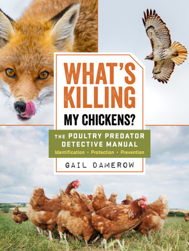 What's Killing My Chickens?: The Poultry Predator Detective Manual book cover by Gail Damerow