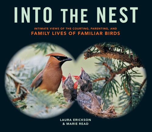 Into the Nest: Intimate Views of the Courting, Parenting, and Family Lives of Familiar Birds book cover by Marie Read, Laura Erickson
