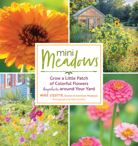 Mini Meadows: Grow a Little Patch of Colorful Flowers Anywhere around Your Yard book cover by Mike Lizotte