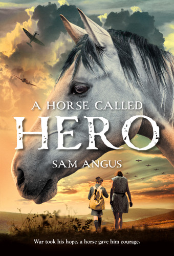 A Horse Called Hero book cover by Sam Angus