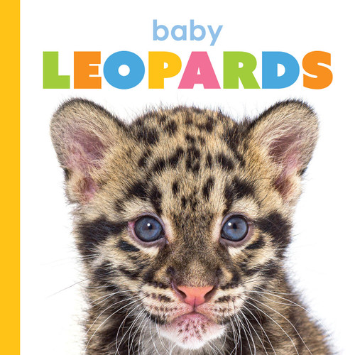Baby Leopards (Starting Out) book cover by Meg Greve