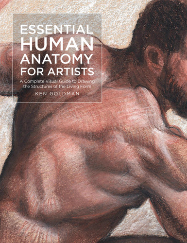 Essential Human Anatomy for Artists: A Complete Visual Guide to Drawing the Structures of the Living Form (For Artists) book cover by Ken Goldman