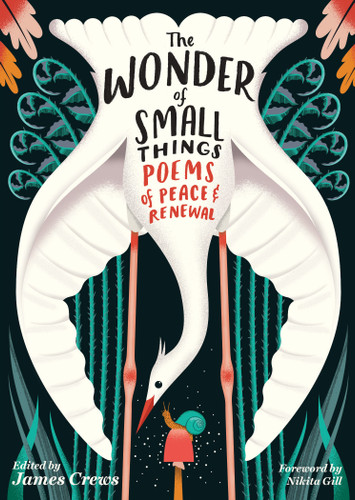 The Wonder of Small Things: Poems of Peace and Renewal book cover by James Crews