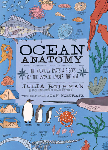 Ocean Anatomy: The Curious Parts & Pieces of the World under the Sea (Anatomy) book cover by Julia Rothman