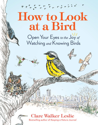 How to Look at a Bird: Open Your Eyes to the Joy of Watching and Knowing Birds book cover by Clare Walker Leslie