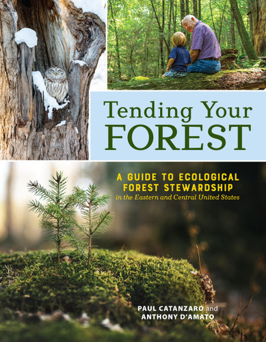 Tending Your Forest: A Guide to Ecological Forest Stewardship in the Eastern and Central United States book cover by Paul Catanzaro, Anthony D'Amato