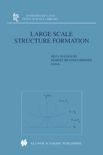 Large Scale Structure Formation (Astrophysics and Space Science Library #247) book cover by 