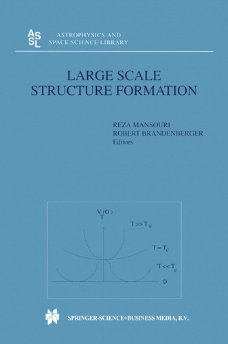 Large Scale Structure Formation (Astrophysics and Space Science Library #247) book cover by 