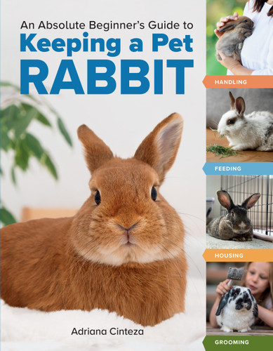 An Absolute Beginner's Guide to Keeping a Pet Rabbit: Handling, Feeding, Housing, and Grooming book cover by Adriana Cinteza