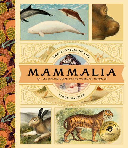 Mammalia: An Illustrated Guide to the World of Mammals (Encyclopedia of Life #1) book cover by Lindy Mattice
